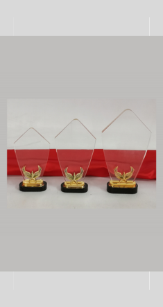 AC 8472 - ACRYLIC TROPHY