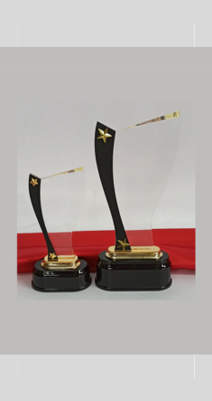 AC 8486 - ACRYLIC TROPHY