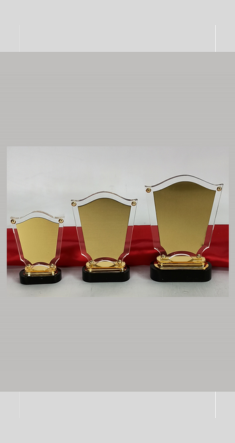 AC 8479 - ACRYLIC TROPHY