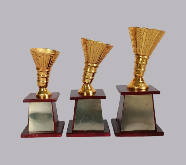wholesale sports trophy shop in pune