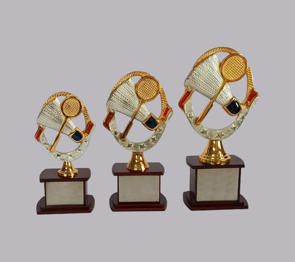 wholesale sports trophy shop in pune