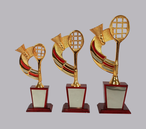 wholesale sports trophy shop in pune