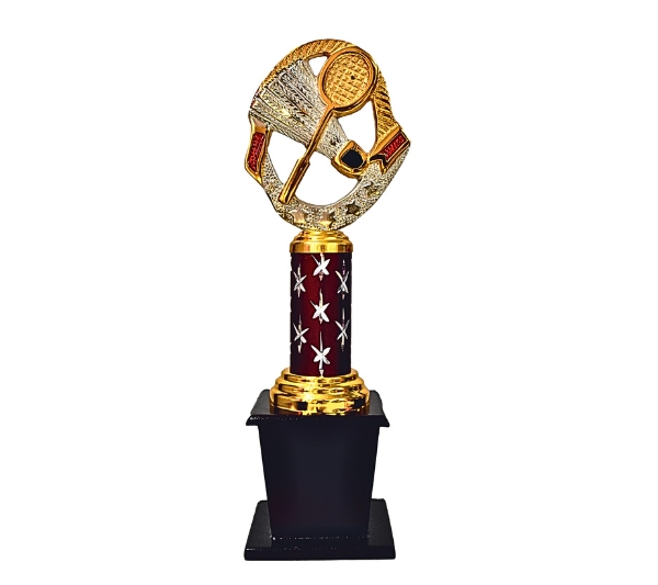 wholesale sports trophy shop in pune