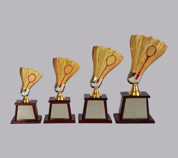 wholesale sports trophy shop in pune