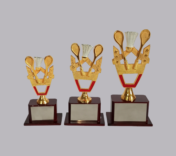 wholesale sports trophy shop in pune