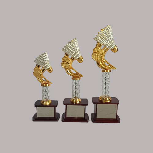 wholesale sports trophy shop in pune