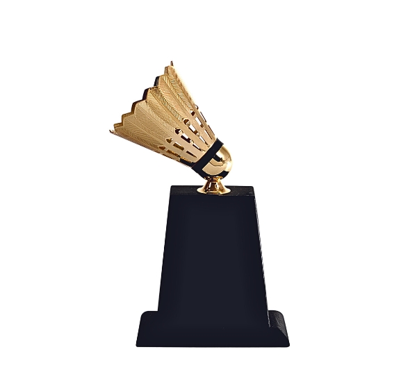 wholesale sports trophy shop in pune