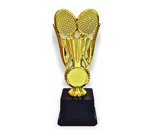 wholesale sports trophy shop in pune