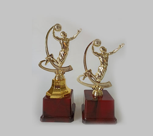 best wholesale shop for basketball trophy