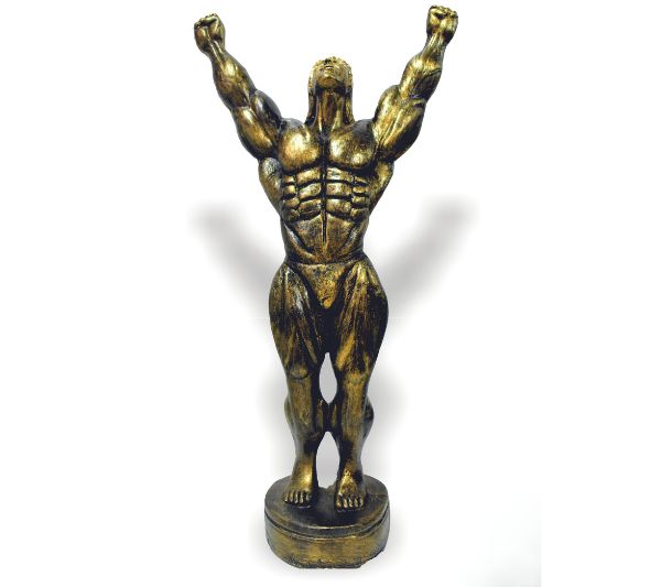 NEW BODYBUILDER BIG