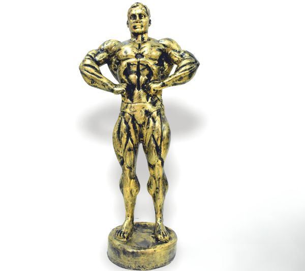 BODY-BUILDING-MEDIUM
