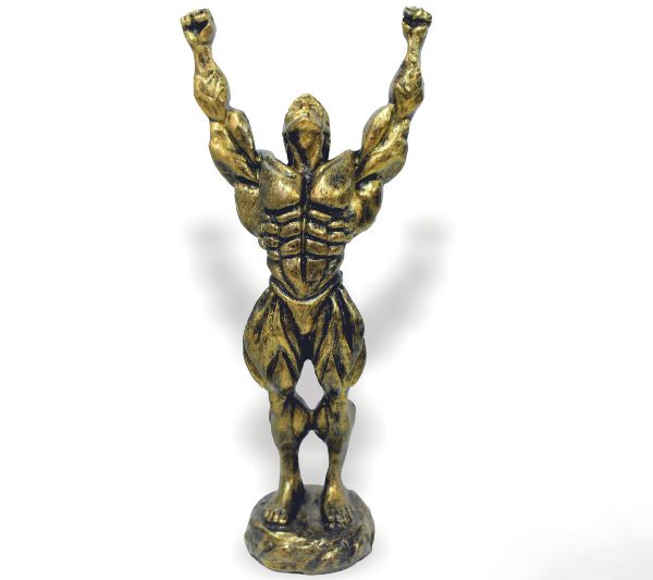 BODY-BUILDING-804