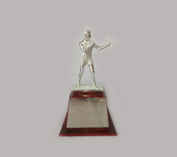 TH- BOXER TROPHY