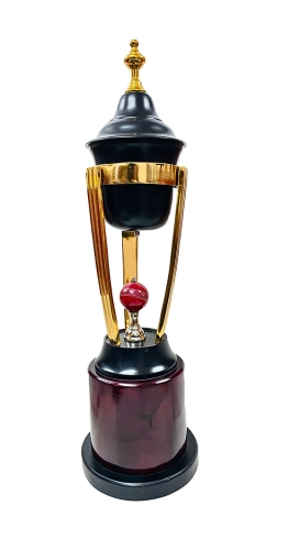 CRICKET-DM-1361- CRICKET TROPHY