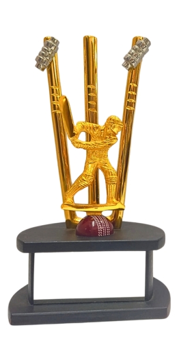 CRICKET-2701- CRICKET TROPHY