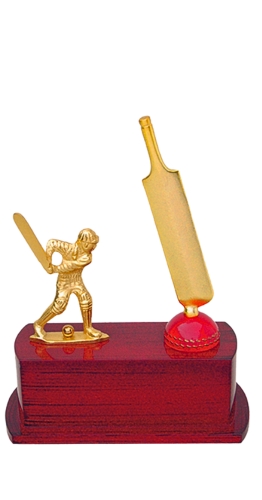 CRICKET-CHM-3486- CRICKET TROPHY