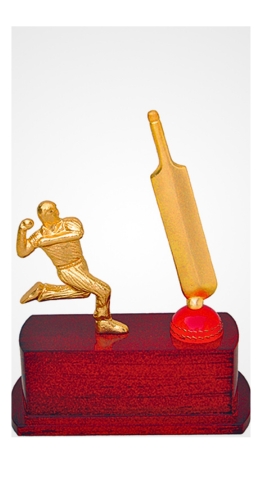 CRICKET-CHM-3487- CRICKET TROPHY