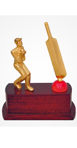 CRICKET-CHM-3488- CRICKET TROPHY