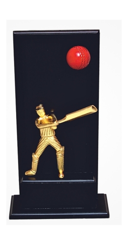 CRICKET-3561- CRICKET TROPHY