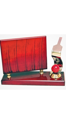 CRICKET-CHM-3573- CRICKET TROPHY
