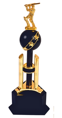 CRICKET-CHM-3753- CRICKET TROPHY