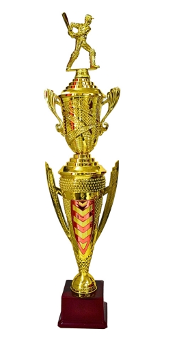 CRICKET-377 - CRICKET TROPHY
