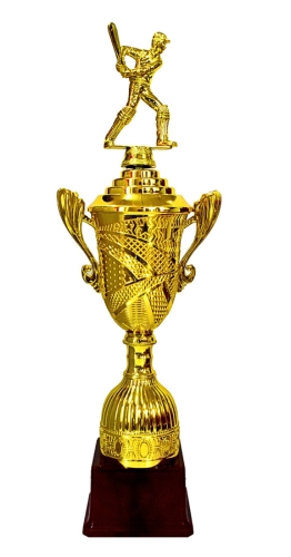 CRICKET-379 - CRICKET TROPHY