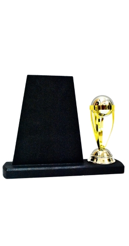 CRICKET-3833- CRICKET TROPHY