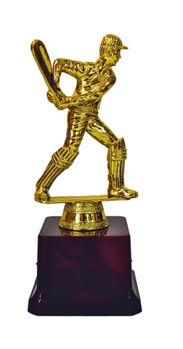CRICKET-408 - CRICKET TROPHY