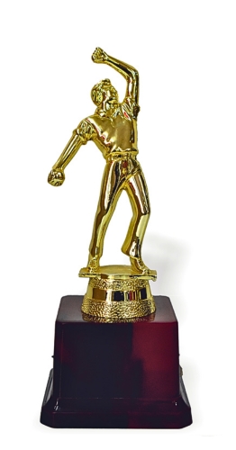 CRICKET-414- CRICKET TROPHY