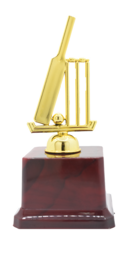 SME 404 - CRICKET TROPHY