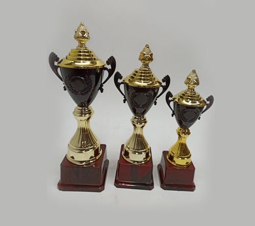 team-image