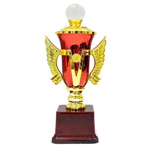 team-image