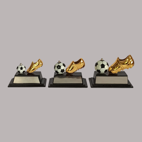 wholesale sports trophy shop in pune