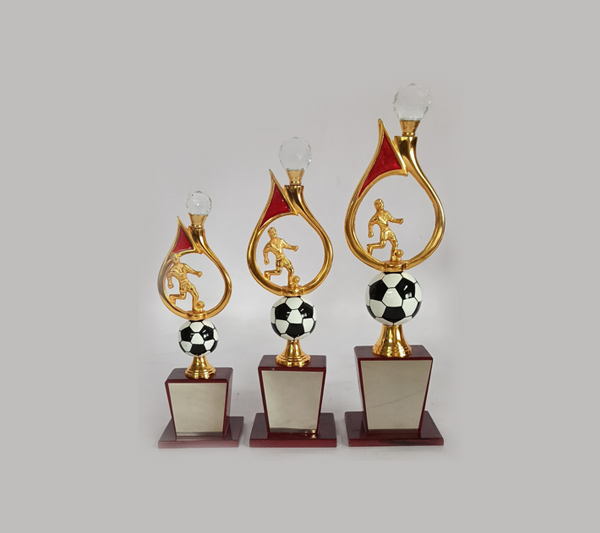 wholesale sports trophy shop in pune