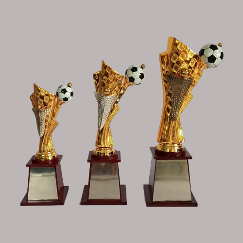 wholesale sports trophy shop in pune