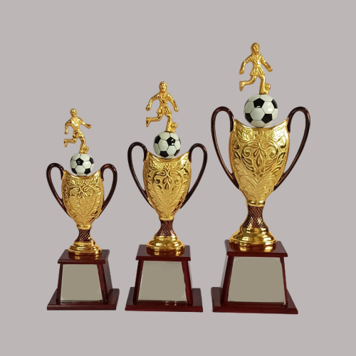 wholesale sports trophy shop in pune