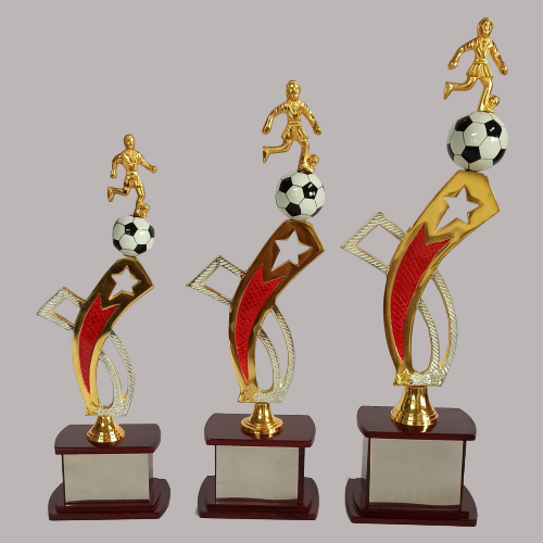 wholesale sports trophy shop in pune