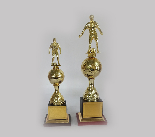 wholesale sports trophy shop in pune