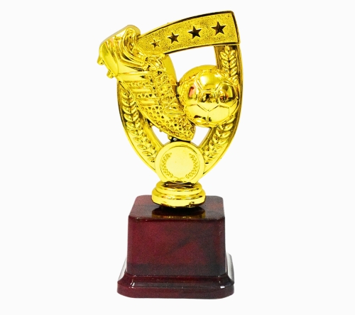 Football Trophies
