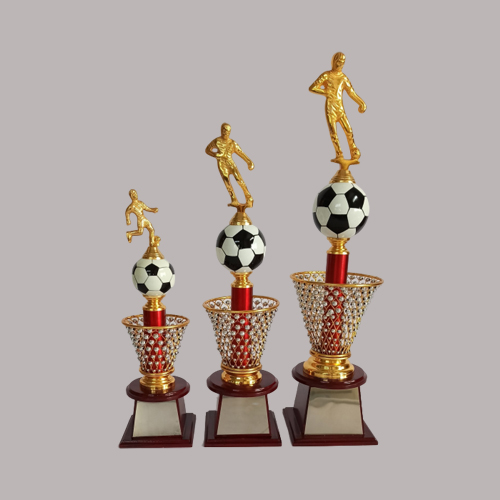 wholesale sports trophy shop in pune