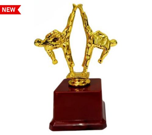 karate trophies suppliers in pune