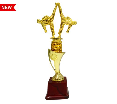 karate trophies suppliers in pune