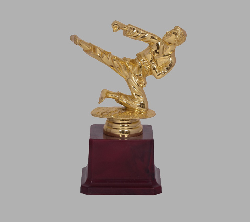 karate trophies suppliers in pune