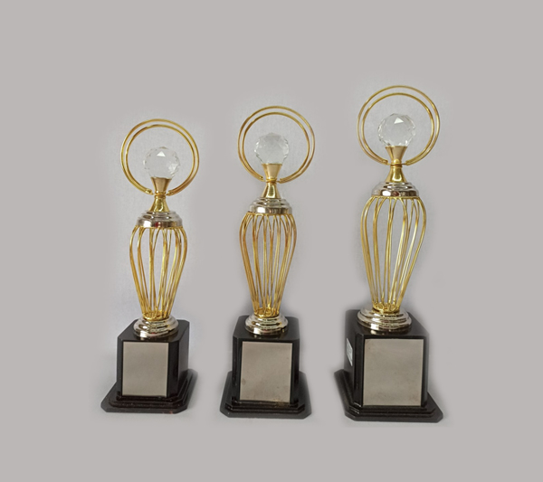 team-image