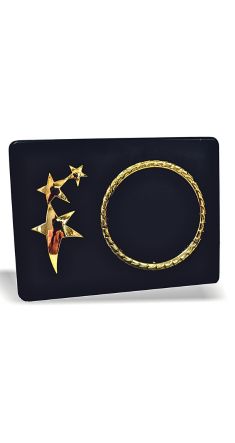 PLAQUE-TROPHY