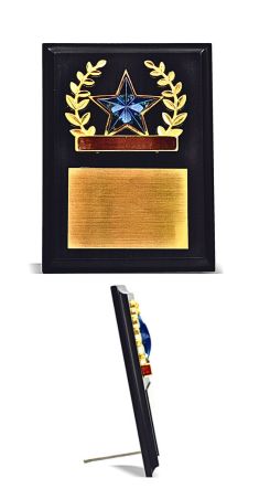 PLAQUE-TROPHY