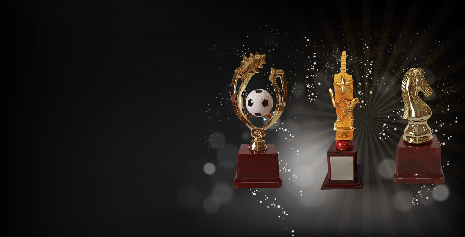 best trophy suppliers in pune