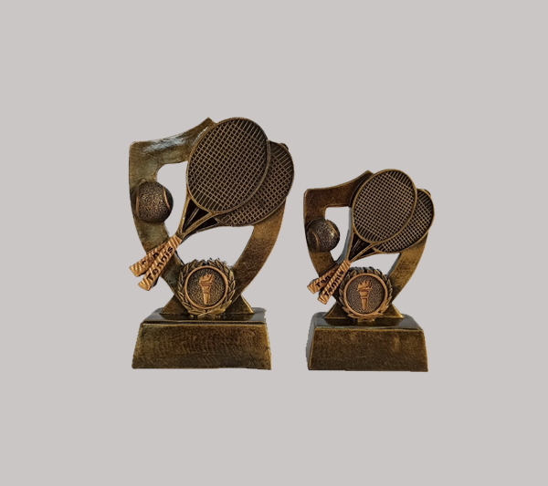 table tennis trophy Collection in pune