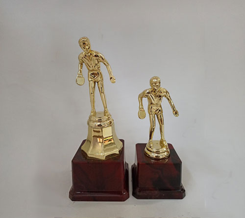 sports trophy shop in pune